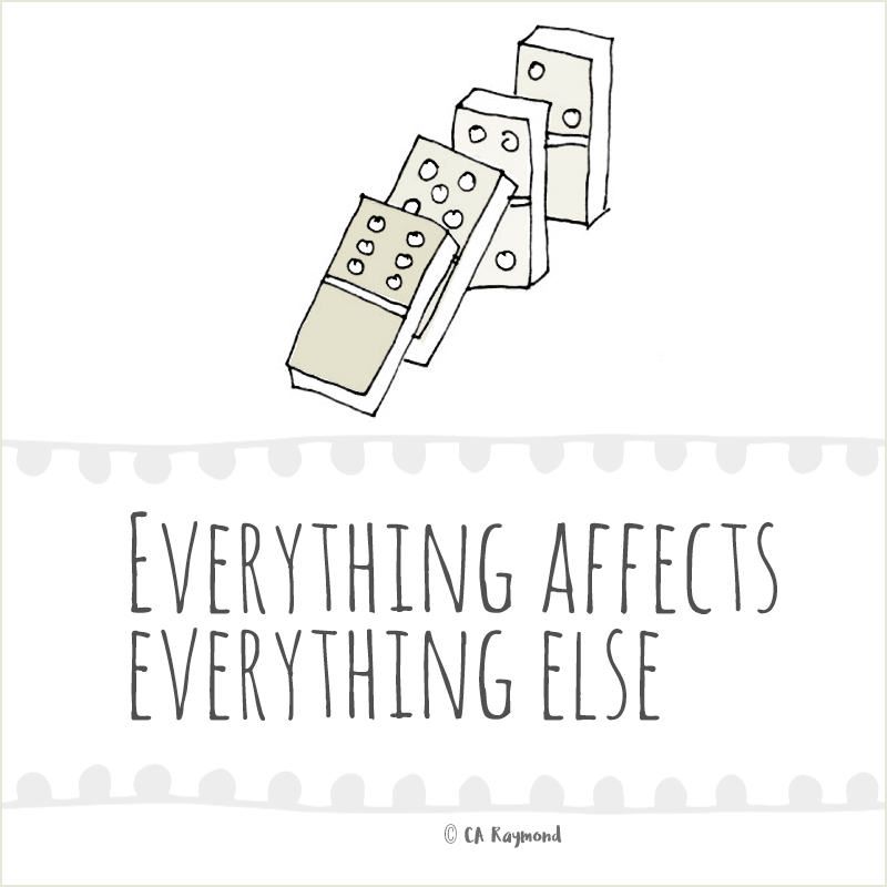 IMAGE: Everything affects everything else.